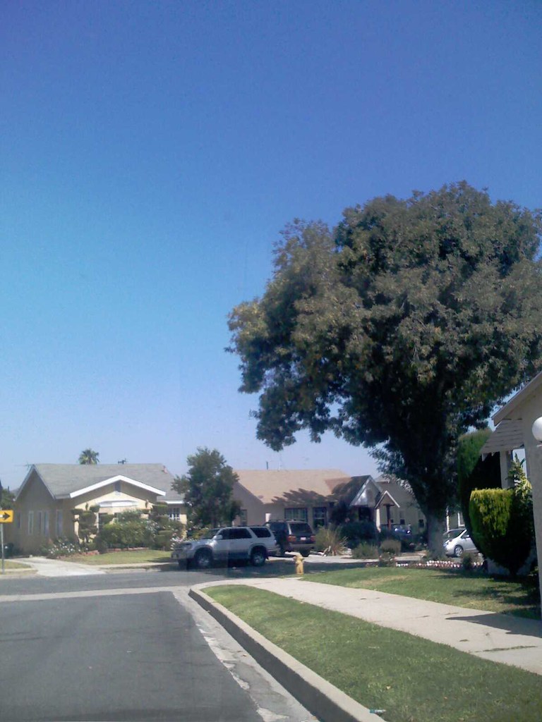 Inglewood Neighborhood Mike Flickr