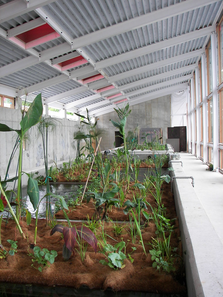 100_3059 John Todd Ecological Design Flickr