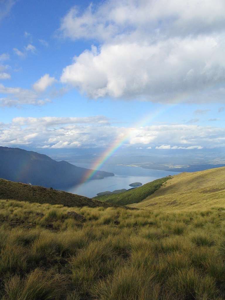 Kepler Track Looking towards Lake Te Anau from Mount Luxmo… Timothy Musson Flickr