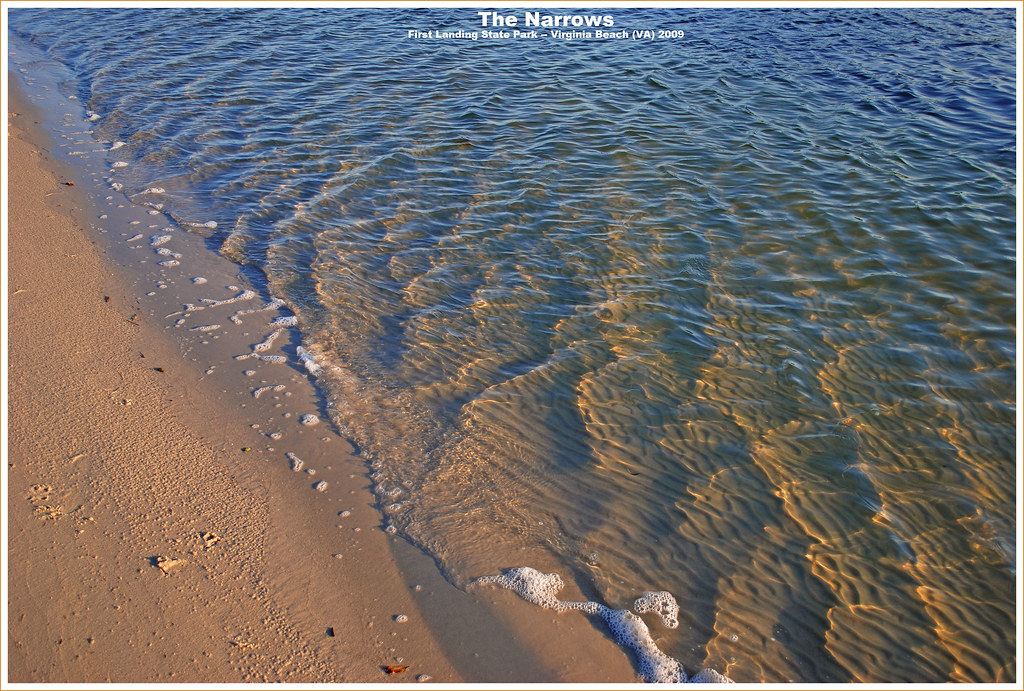 The Narrows First Landing State Park, Virginia Beach (V… Flickr