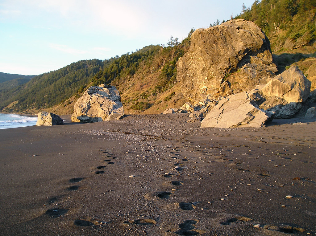 BlackSandsRocks013109 On Black Sands Beach, King Range Nat… Flickr