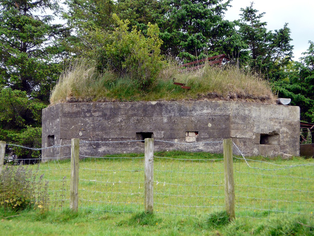 EGLINGHAM HILL FARM Lozenge face ne nu117 198 stephen.lewins (1,000