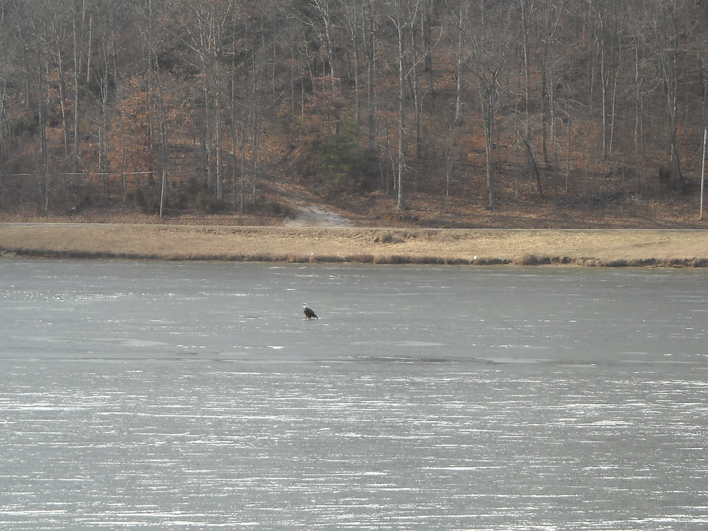 Eagles Lake Linville K Y 2009 1 Waiting for the fish lisa coultrup