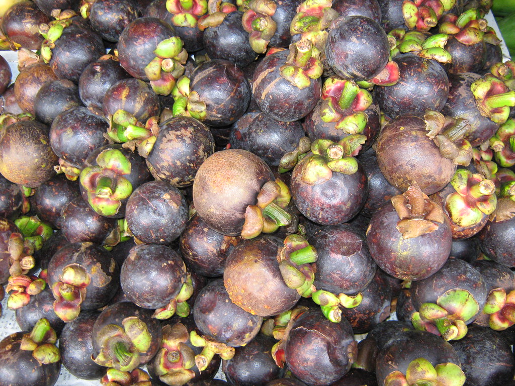 MANGOSTEENS Mangosteen violet fruits in the Philippines PINOY