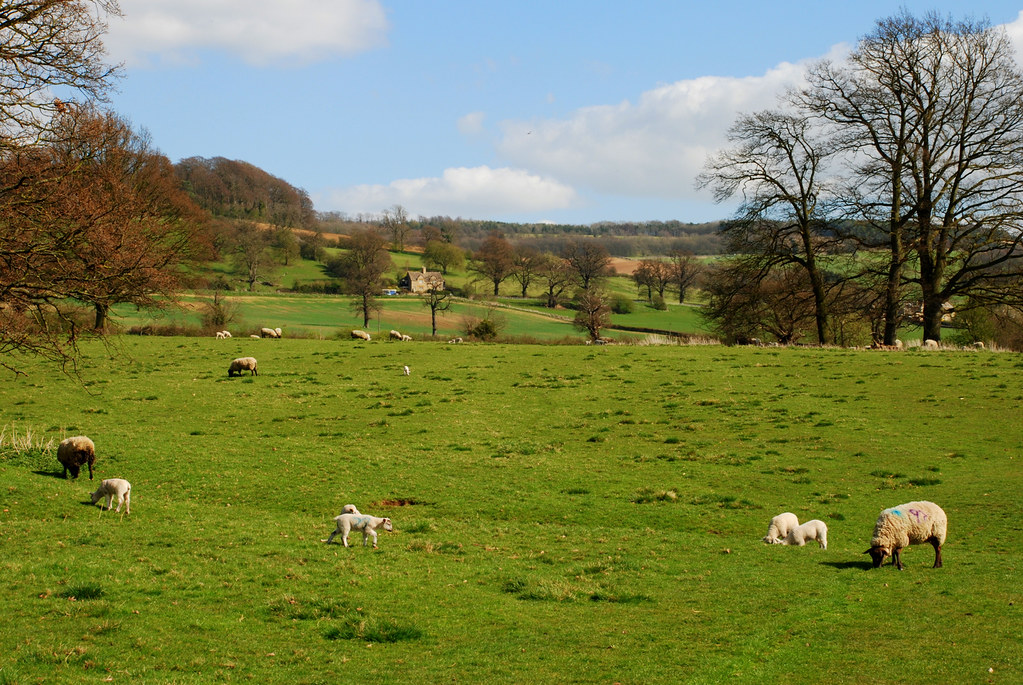 COTSWOLD SCENE christopher price Flickr