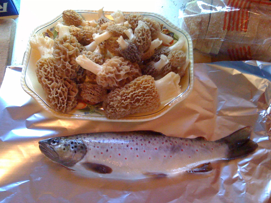 Chowcast36fish&morels From Chowcast, Episode 36. Visit us… Flickr