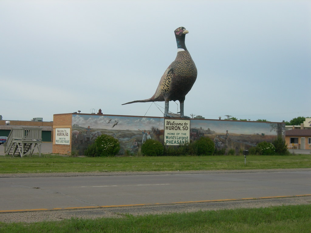 World's Largest Pheasant Huron, South Dakota Jimmy Emerson, DVM