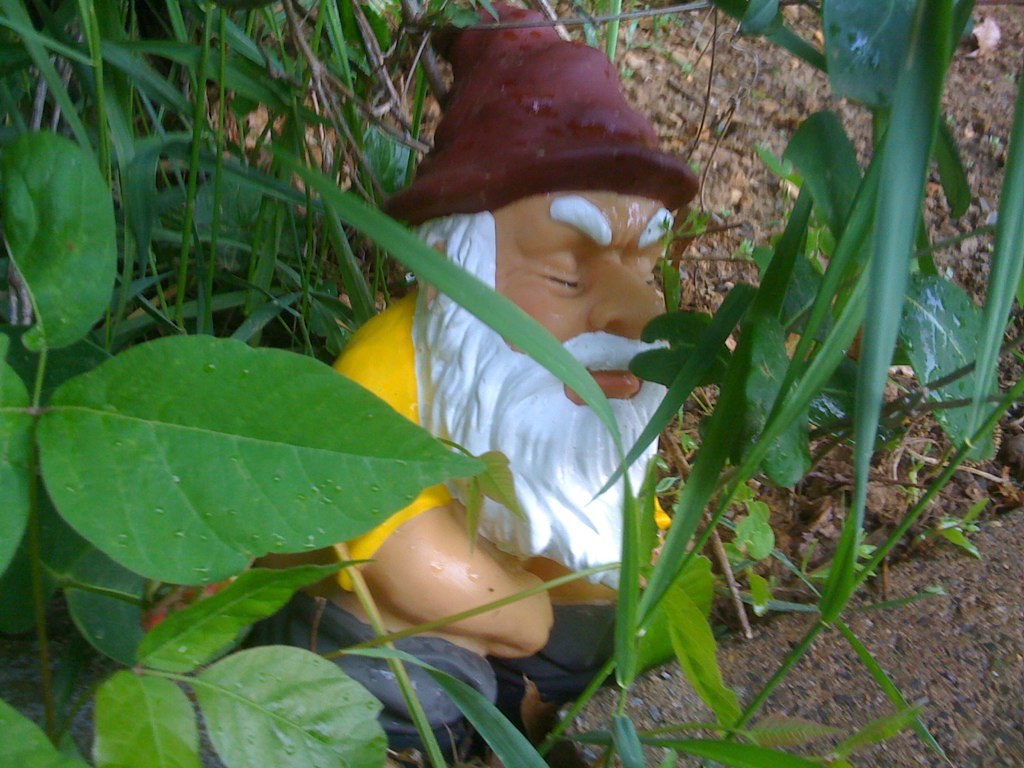Pooping Gnome Tony Buser Flickr