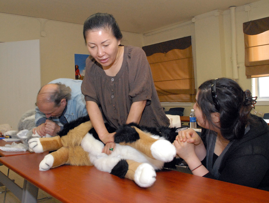 Dog First Aid Using dog manikins as training aids during a… Flickr