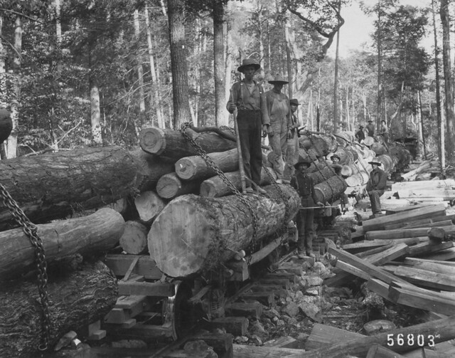 Oregon Logging History Flickr
