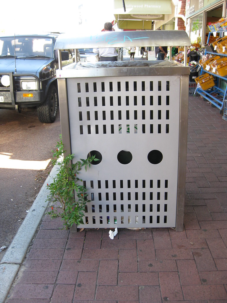 Bin Chilli This chilli plant is growing out of a rubbish b… Flickr