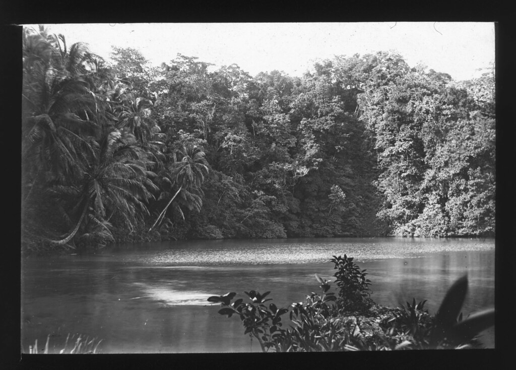 Blue Hole, Jamaica Item 1606 Title Blue Hole, Jamaica P… Flickr