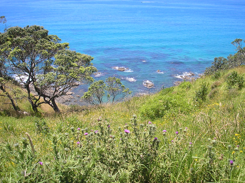 Mangawhai Heads cliff walk, Northlands 2009 Mangawhai Head… Flickr