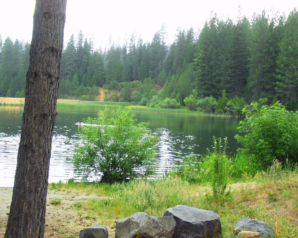 White Pines Lake A view of White Pines Lake. Michael Montgomery