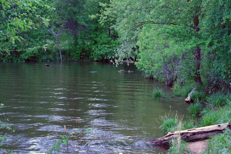 Elevation of Old Mill Rd, Richburg, SC, USA Topographic Map