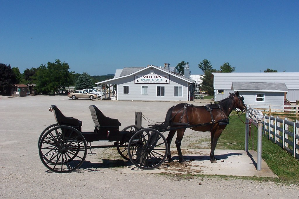 Amish Horse and Buggy at Miller's Miller's is an Amish mar… Flickr