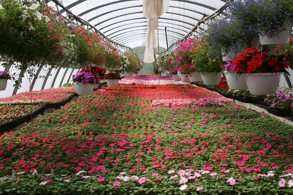 westcroft gardens mballen89 Flickr