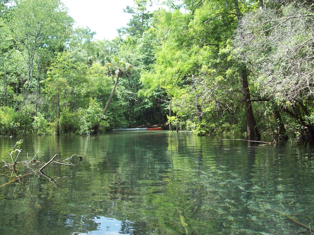 Econfina Creek and Springs Kayaking on Econfina Beverly Hill Flickr