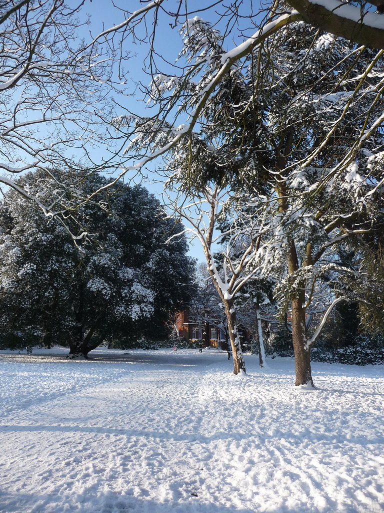 P1010234 Mayow Park, Sydenham Shot towards Recreation Road… Flickr