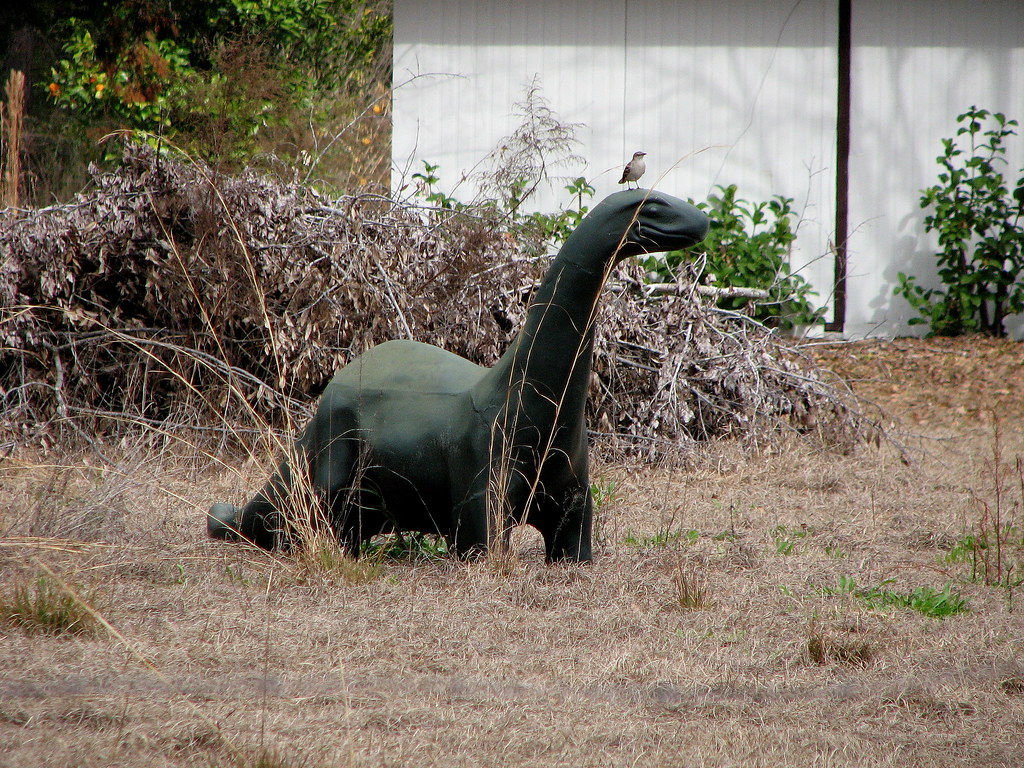 Evolution Astor Park, Florida. This was sitting in a front… Flickr
