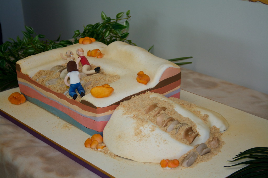 Ace of Cake's Cake Ben Stanfield Flickr