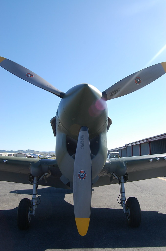 Warhawk P40 Warhawk with twoseat passenger conversion. V… Flickr