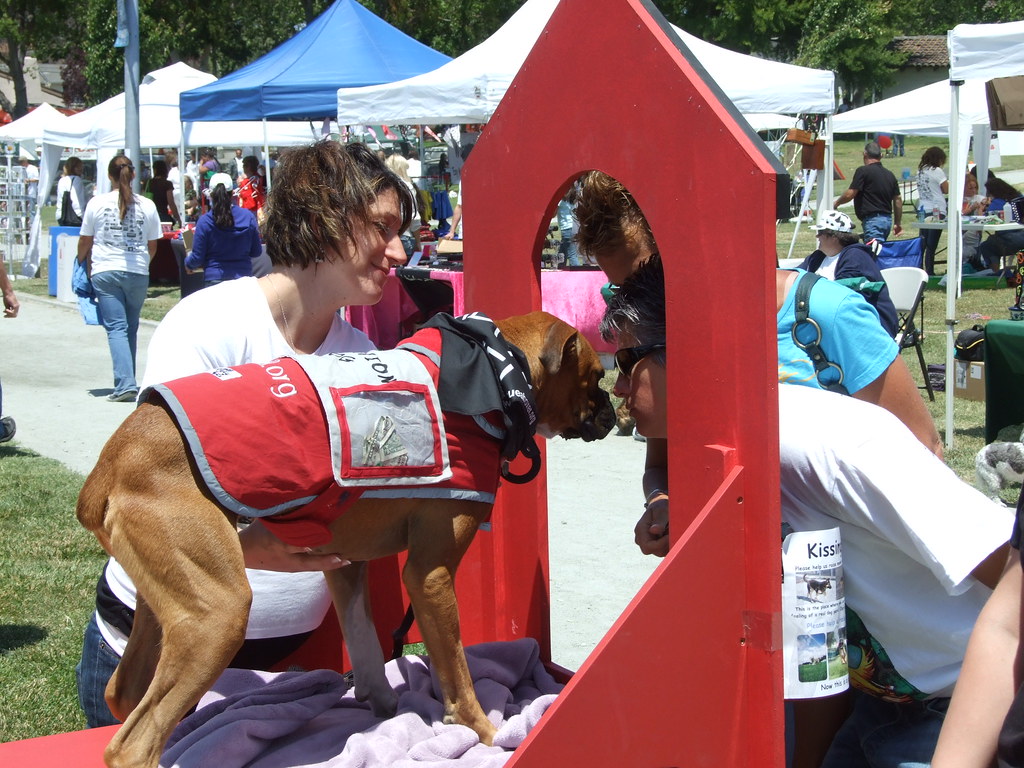 Hollister Dog Days 09 146 Dog Days of Hollister May 30th 2… Flickr