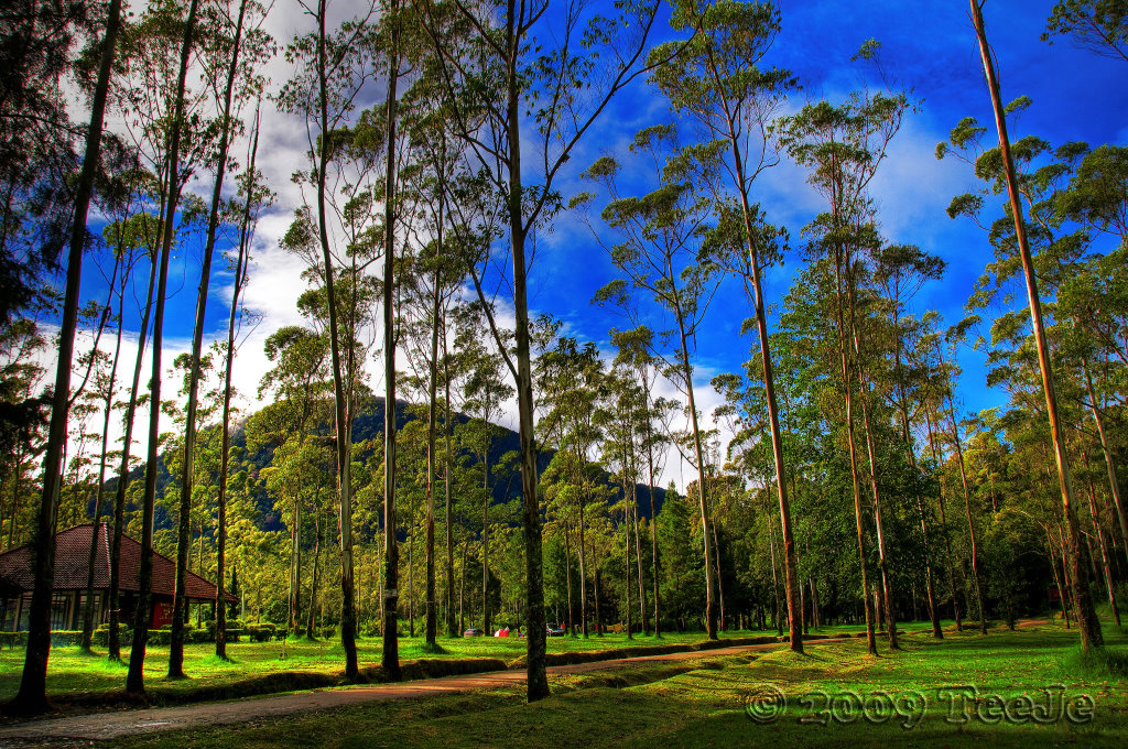 Ranca Upas Camping Ground Ranca Upas is an area for campin… Flickr