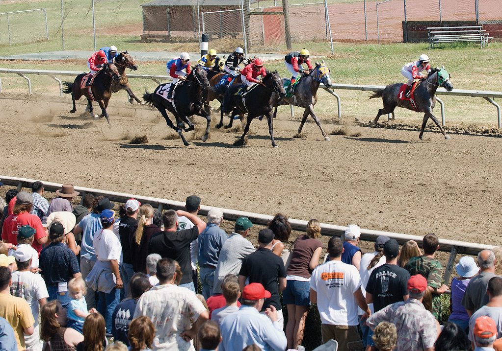 Humboldt County Fair 2024 Horse Racing Schedule Horse racing at the Humboldt County Fair The county fair i… Flickr