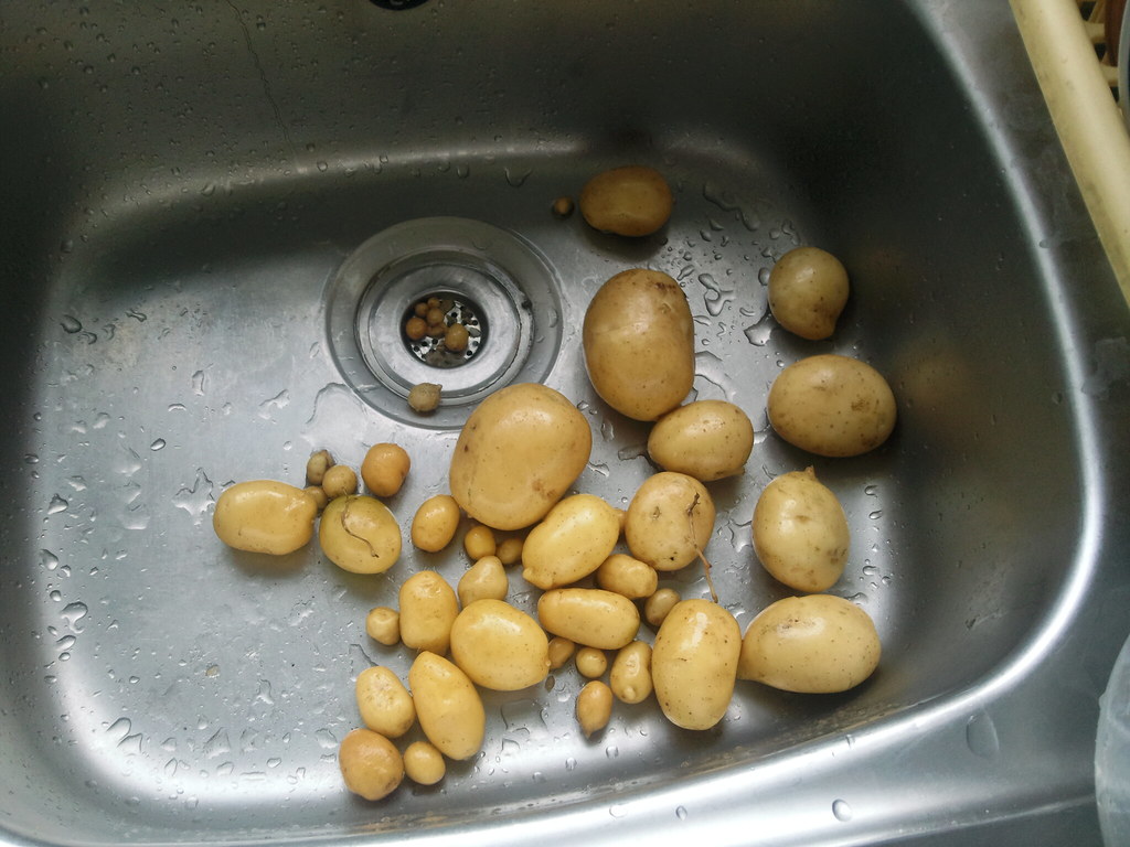 Washed Potatoes Washed and ready for the pot. jobelina Flickr