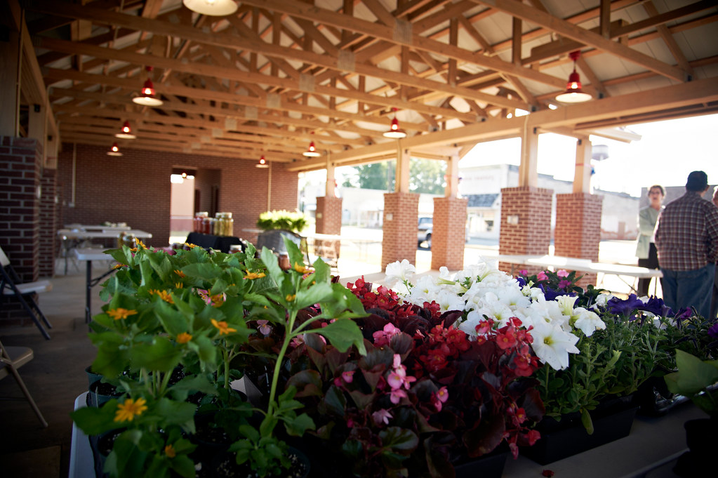 _dsc7984 GOODWYN MILLS CAWOOD Flickr