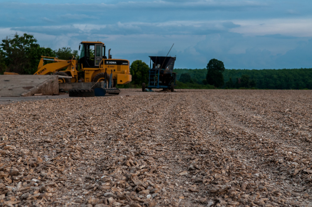 Champasak Lao PDR a photo on Flickriver
