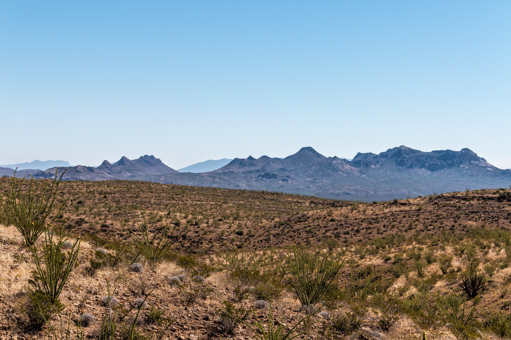 Trackways8675 This shows the Doña Ana Mountains, as seen … Flickr