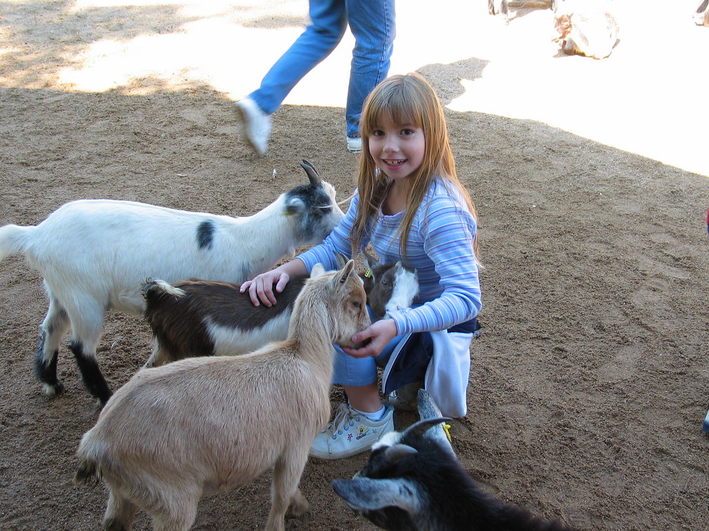 "Grant's Farm" school field trip, October 2003 Alane Odom Flickr