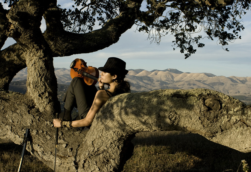 photo by Meredith Zielke photo by Meredith Zielke Flickr