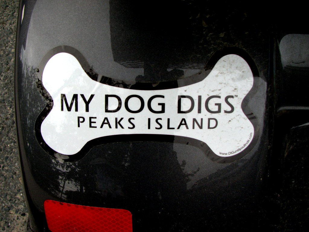 my dog digs peaks island Peaks Island, Maine USA • Seen on… Flickr