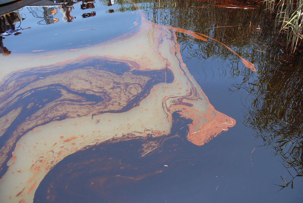 Oil Impacts PAL, May 19, 2010 Thick oil pools in the water… Flickr