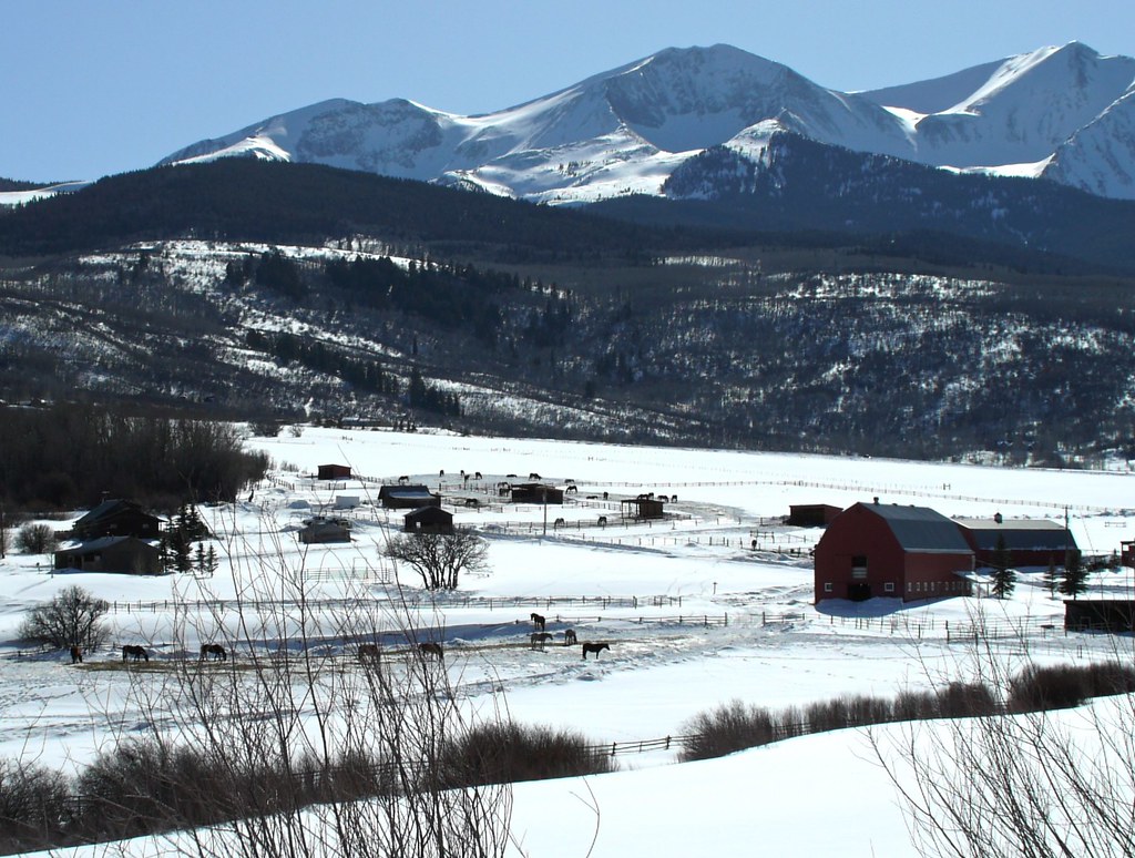 L1020927 Hackett Flickr