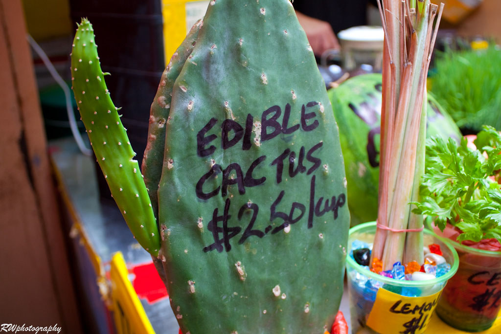 Edible Cactus? How does it taste? rphotography Flickr