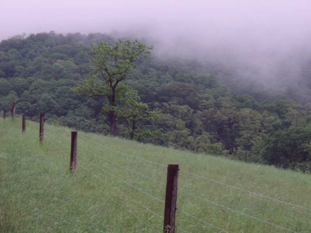 Waxler40 Waxler Rd, Between Keyser Wv, and Shortgap, Wv. Marc Bochy Flickr