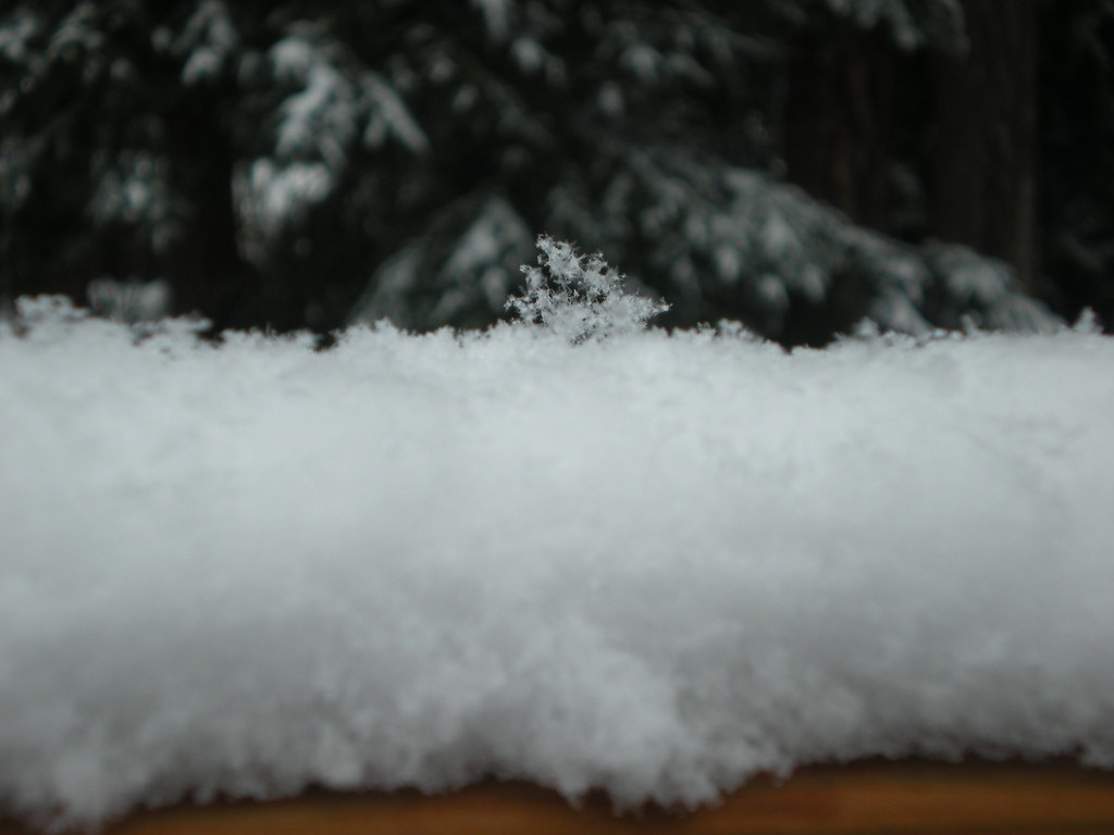 Snowflake from a distance See zoomed in snowflake Flickr