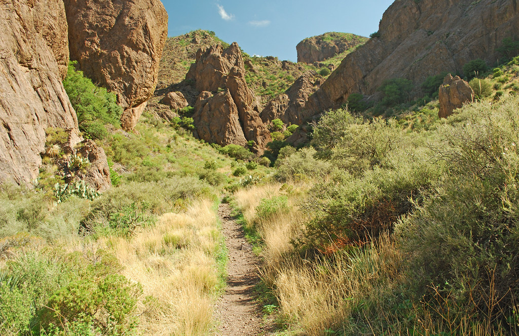 Soledad Canyon in Summer Soledad Canyon trail in July 2008… Flickr