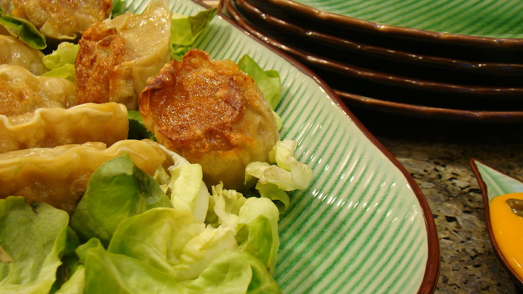 Vegan DimSum Tofu Veggie Potsticker and Veggie 5 Spice "Ch… Flickr