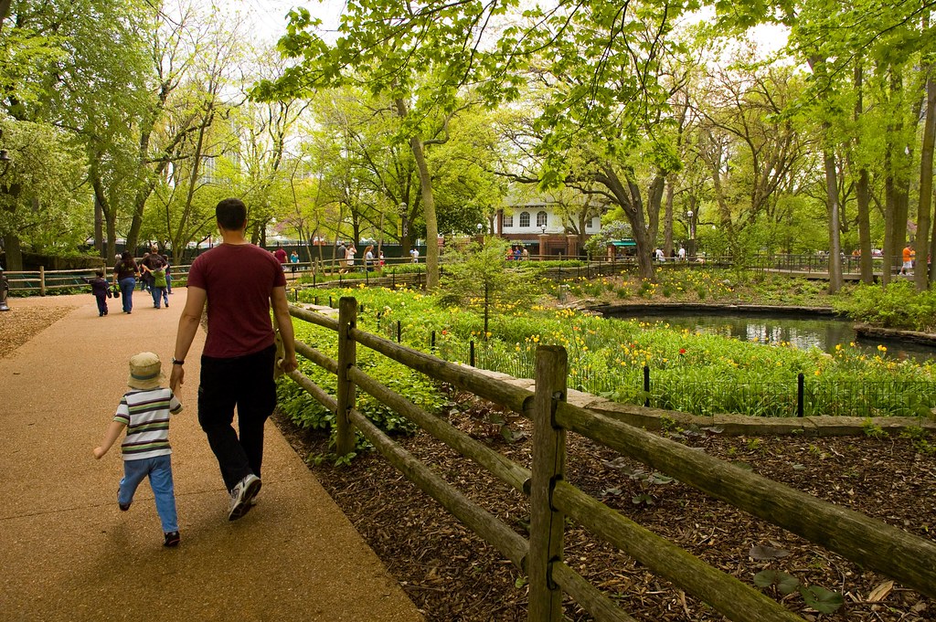 walking through Lincoln Park Zoo Jennifer Pack Flickr