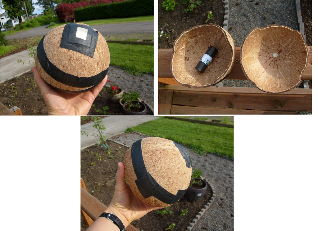 Large Format Coconut Camera AKA "BAC Big Ass Coconut" Cu… Flickr