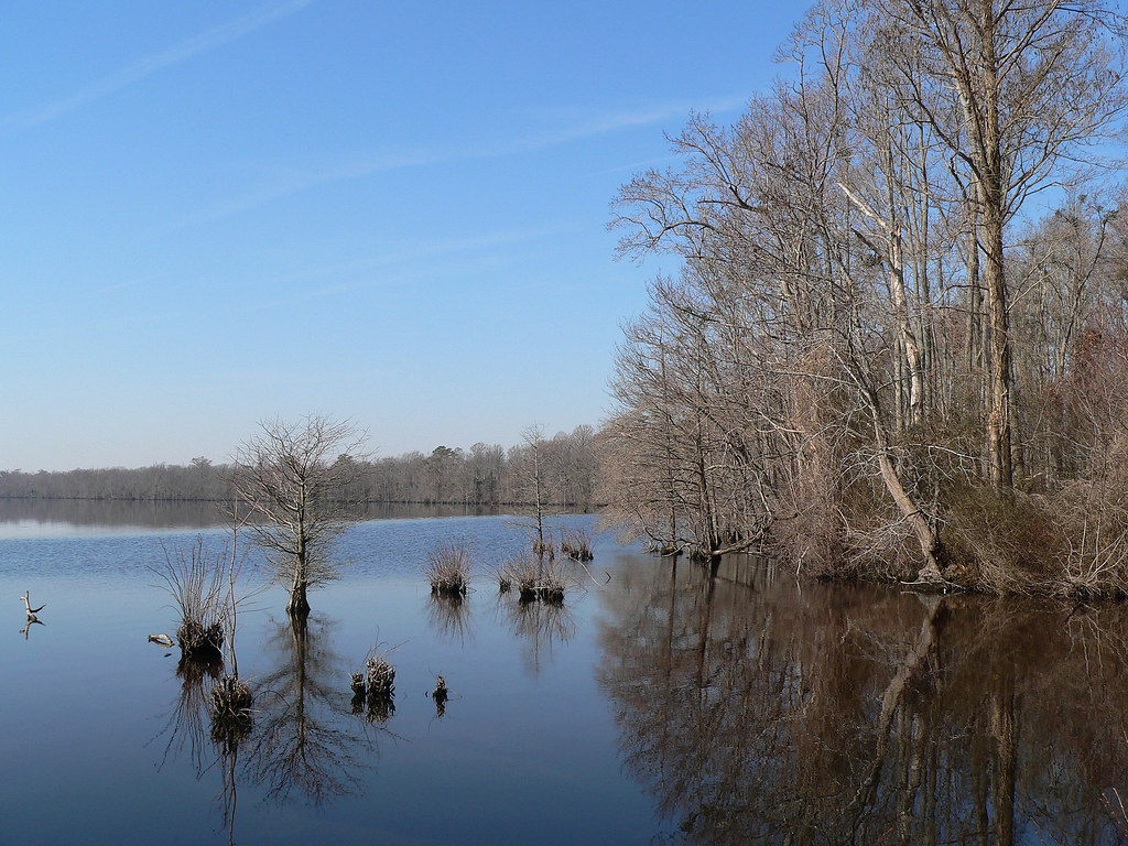 Elevation of Deer Forest Rd, Suffolk, VA, USA Topographic Map