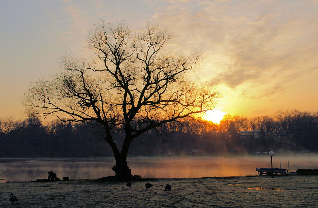 Early Morning Lamberton Lake. Grand Rapids, Michigan. Tom Syrba