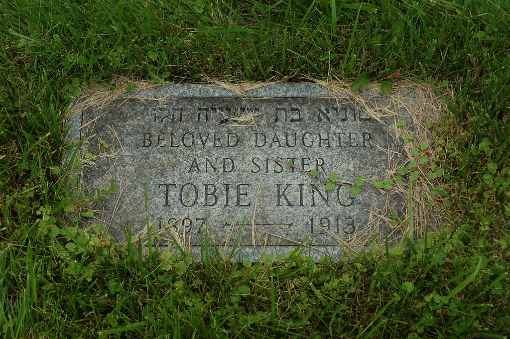 Har Nebo Cemetery Philadelphia King Family Section David King