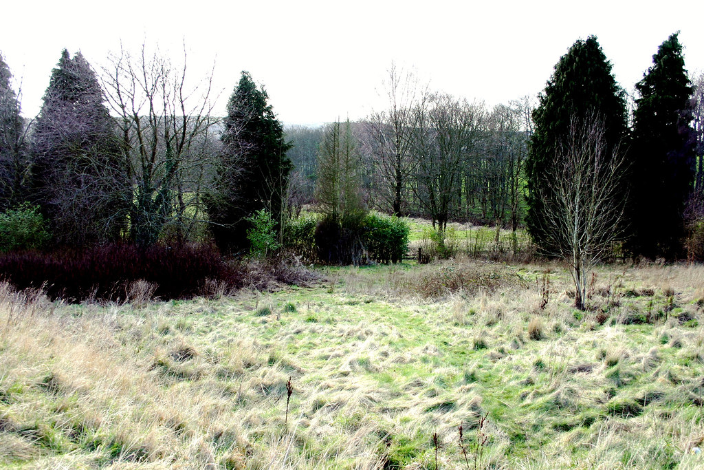 dykebar garden Jane Kelly Flickr