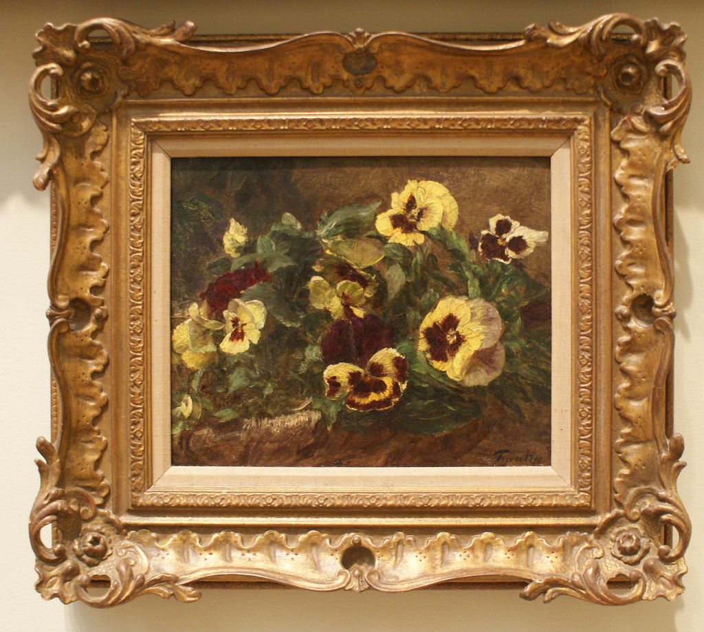 Pansies Photographer Lisa O'Hara griannan Flickr